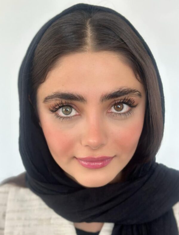 بریز گری - تصویر 4